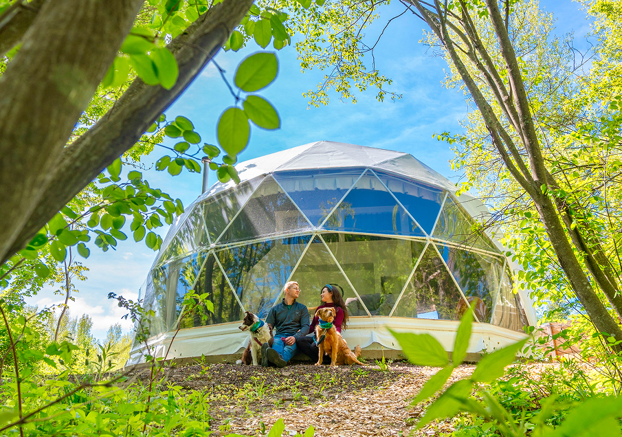 Creekside RnR Glamping